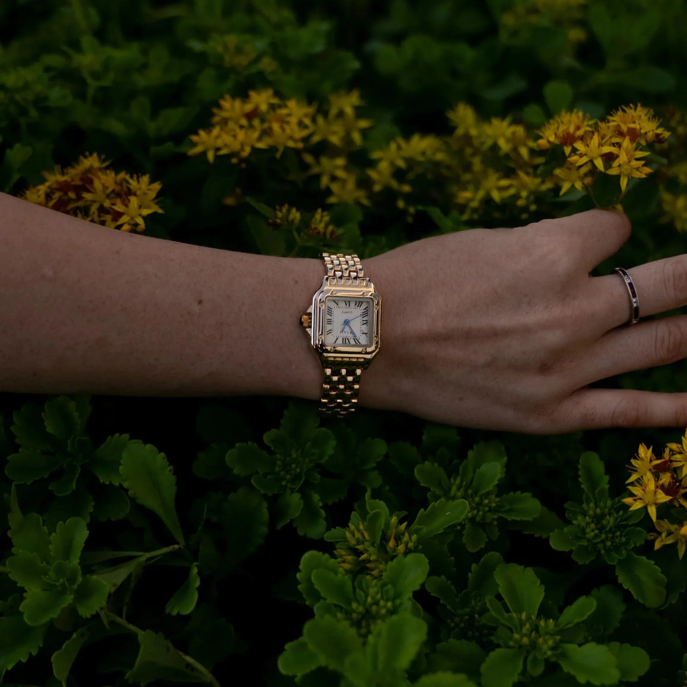 Regal Grealy Watch